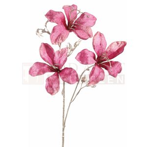 Zijdebloem Roze Bauhinia
