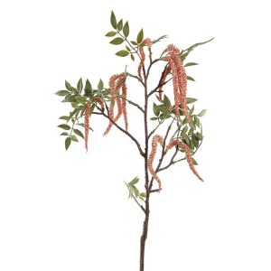 Zijdebloem Twig Amaranthus