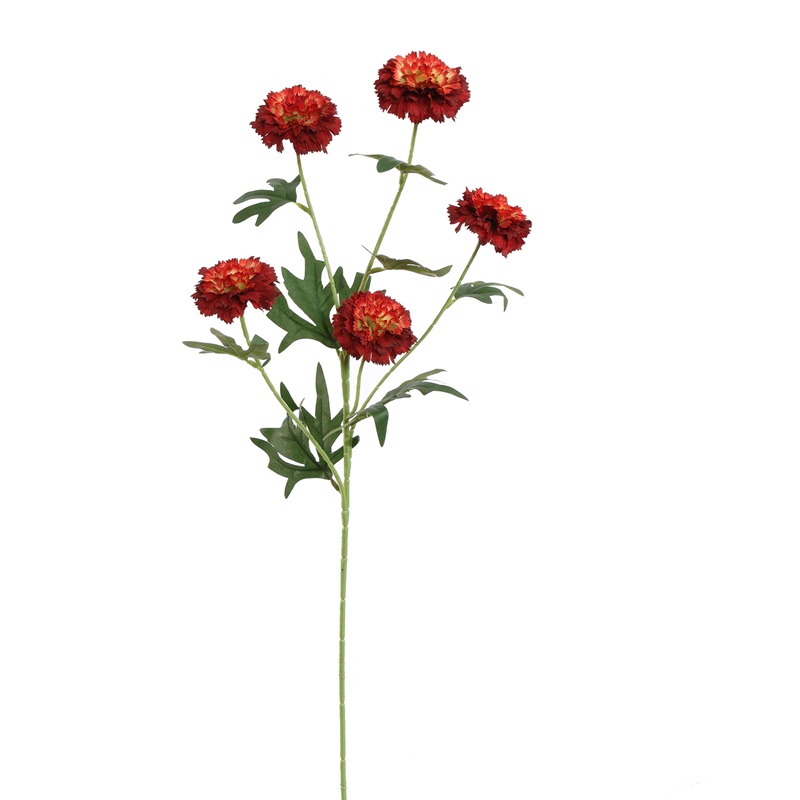 Zijdebloem Afrikaantje Rood