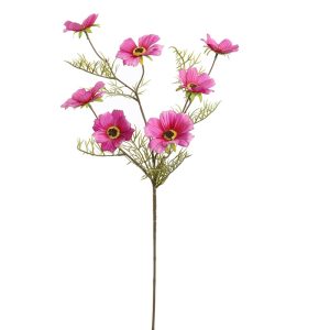 Zijdebloem Cosmos Beauty