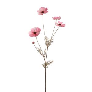 Zijdebloem Cosmos Mauve