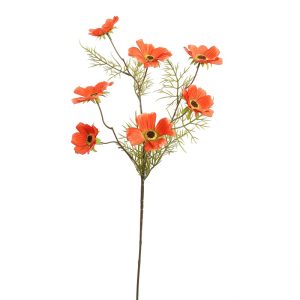 Zijdebloem Cosmos Oranje