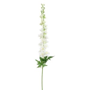 Zijdebloem Delphinium Cream