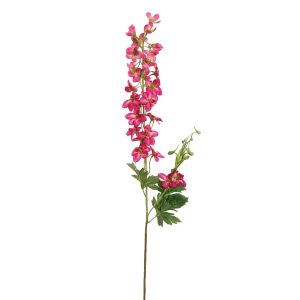 Zijdebloem Delphinium Beauty