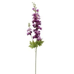 Zijdebloem Delphinium Burgundy