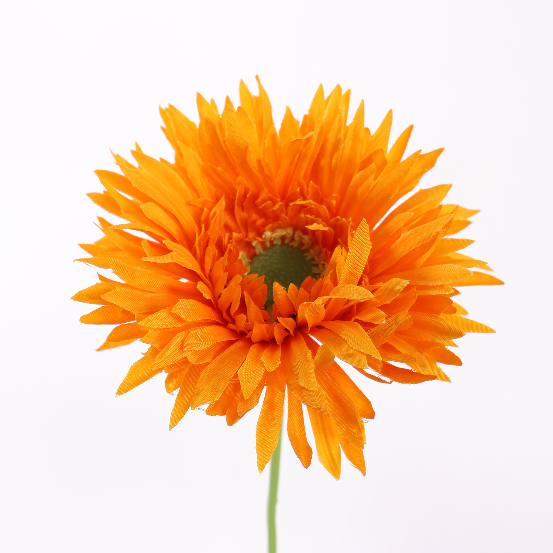 Zijdebloem Gerbera - Afbeelding 2