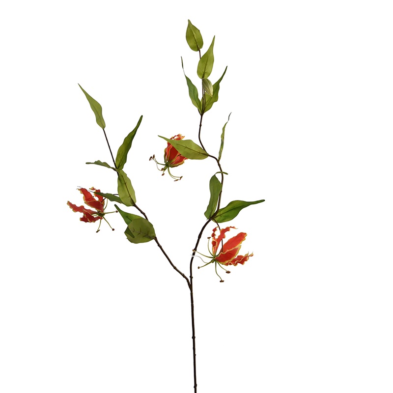 Zijdebloem Gloriosa Lelie