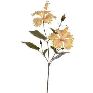 Zijdebloem Hibiscus Green