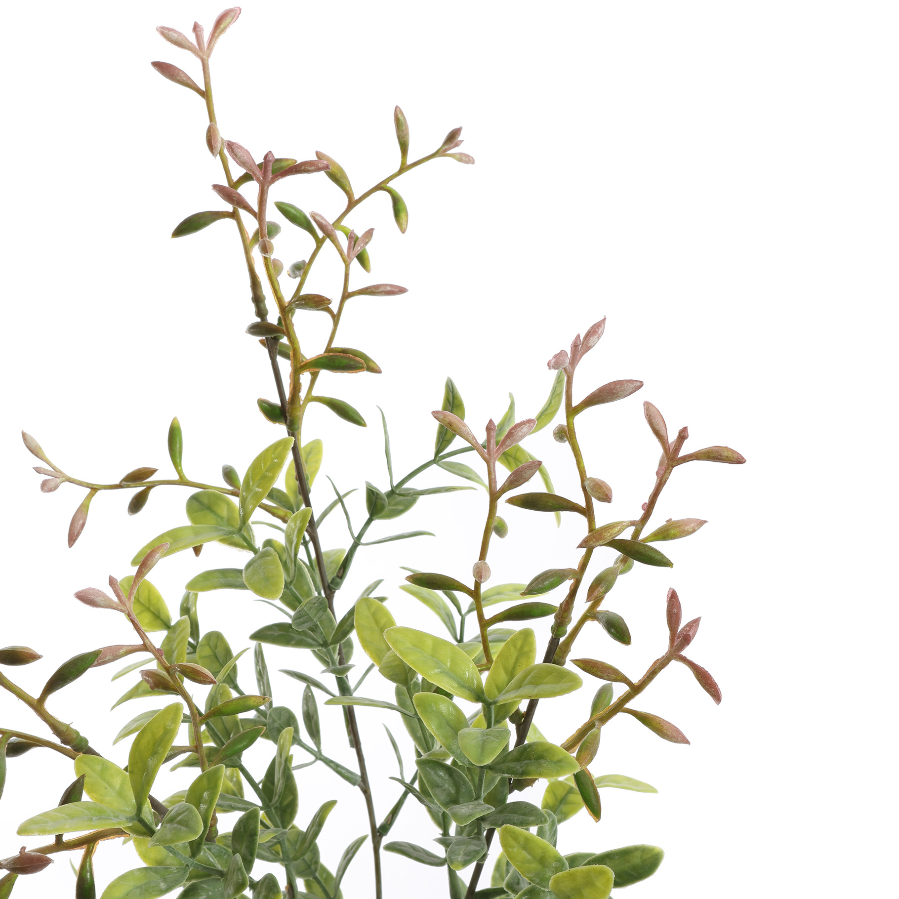 Zijdebloem Leaf Berry Spray - Afbeelding 2