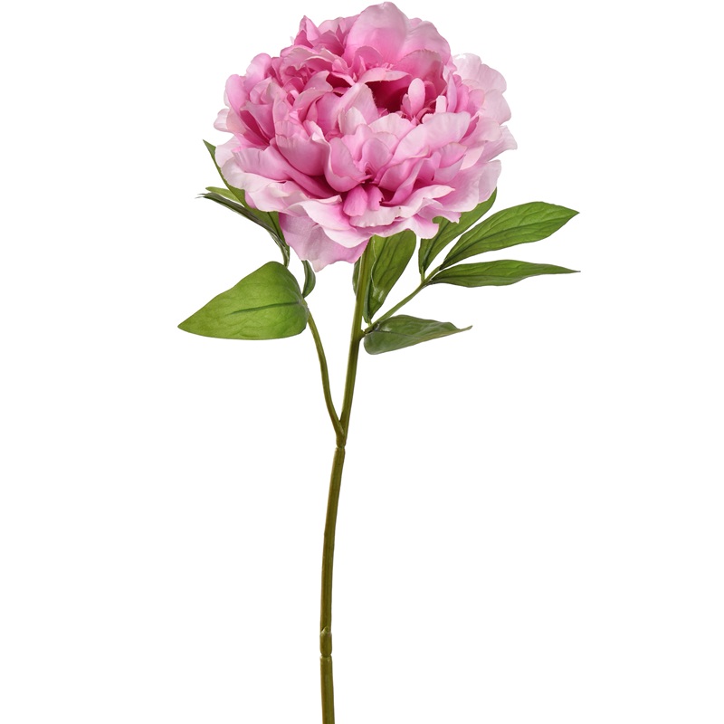 Zijdebloem Open Peony