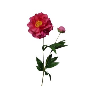 Zijdebloem Peony Beauty