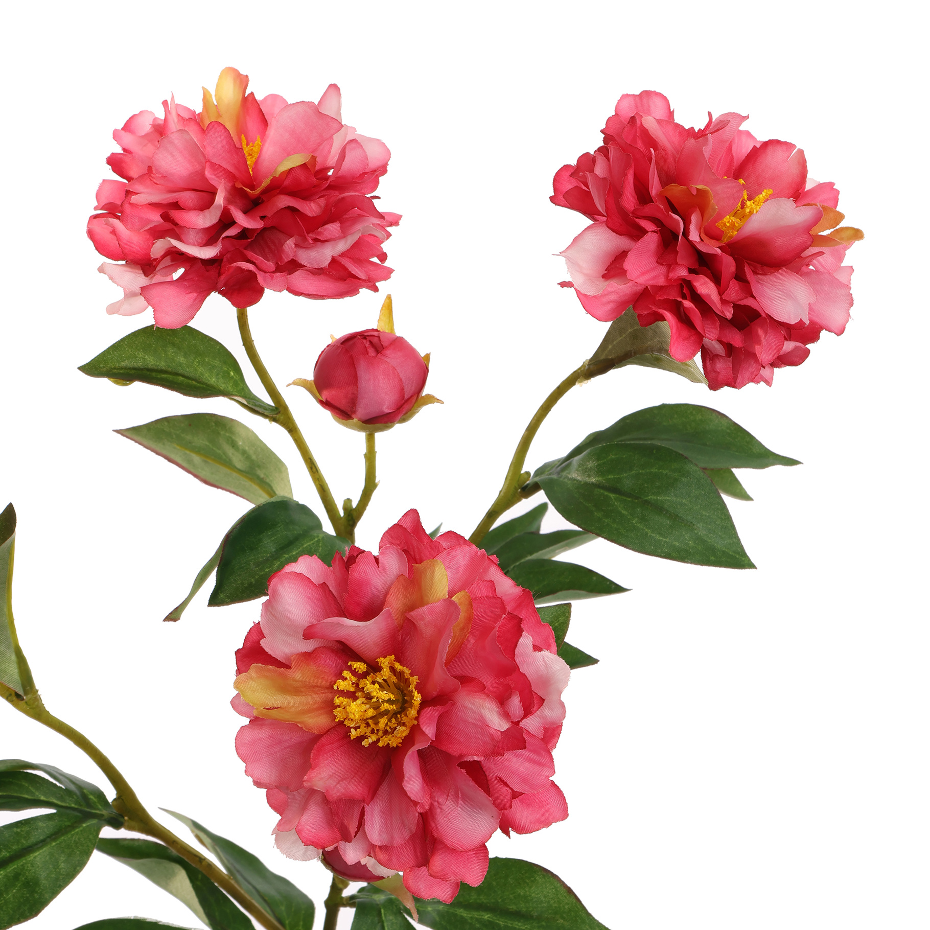 Zijdebloem Peony Spray Beauty - Afbeelding 2
