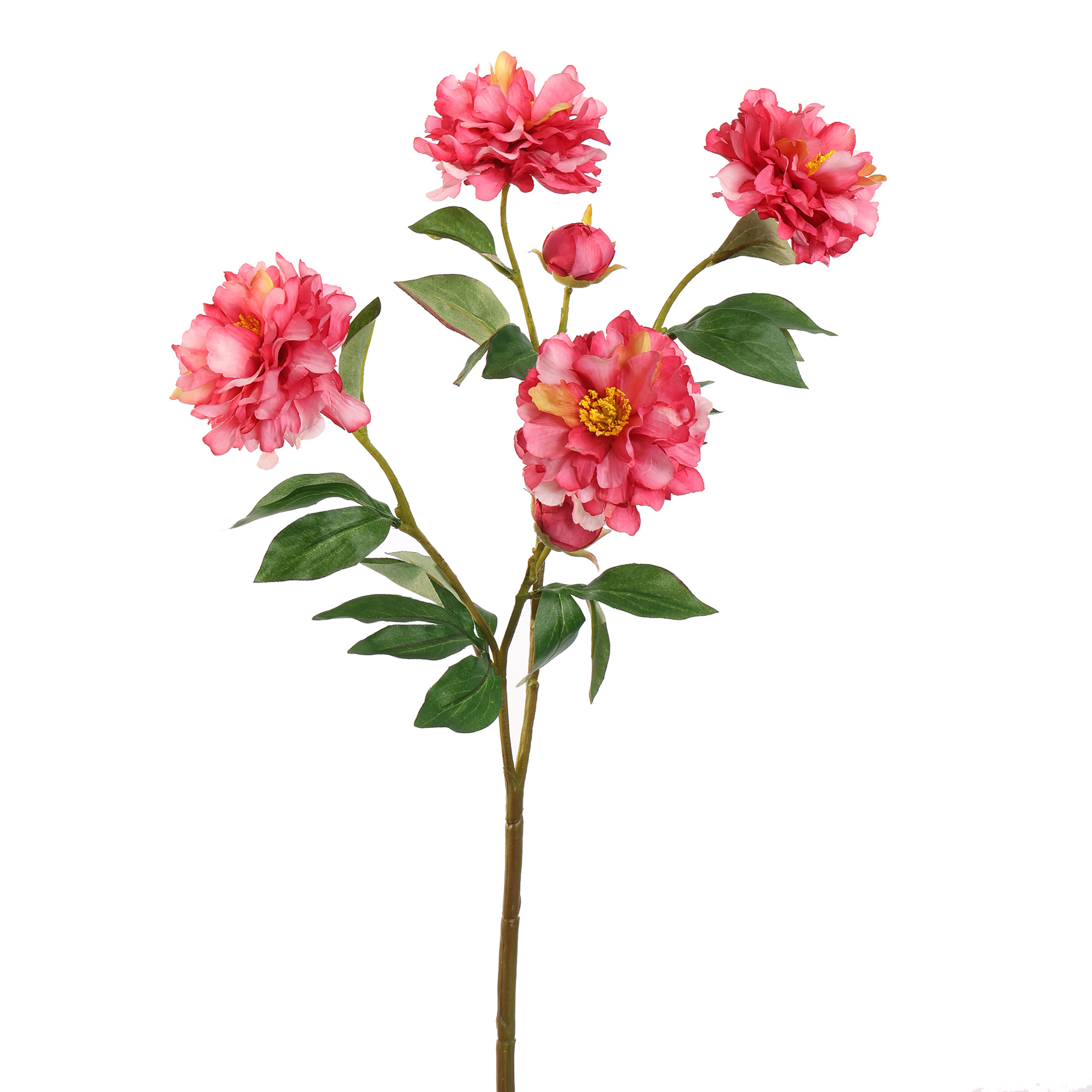 Zijdebloem Peony Spray Beauty