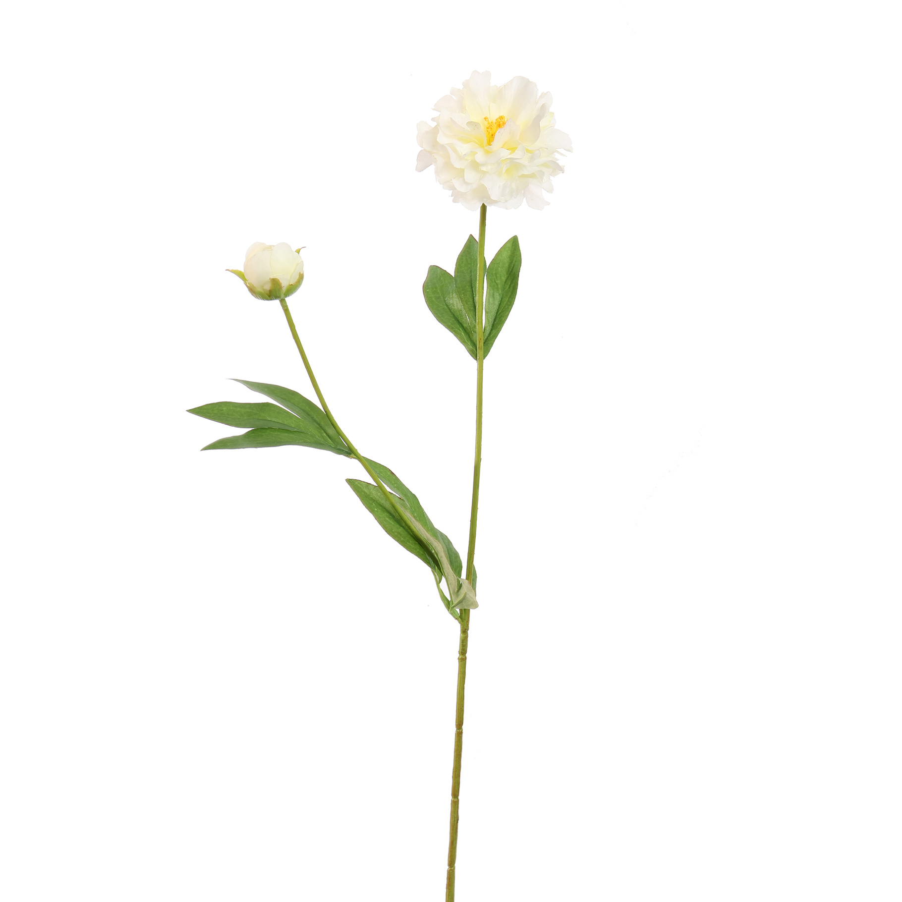 Zijdebloem Peony Cream