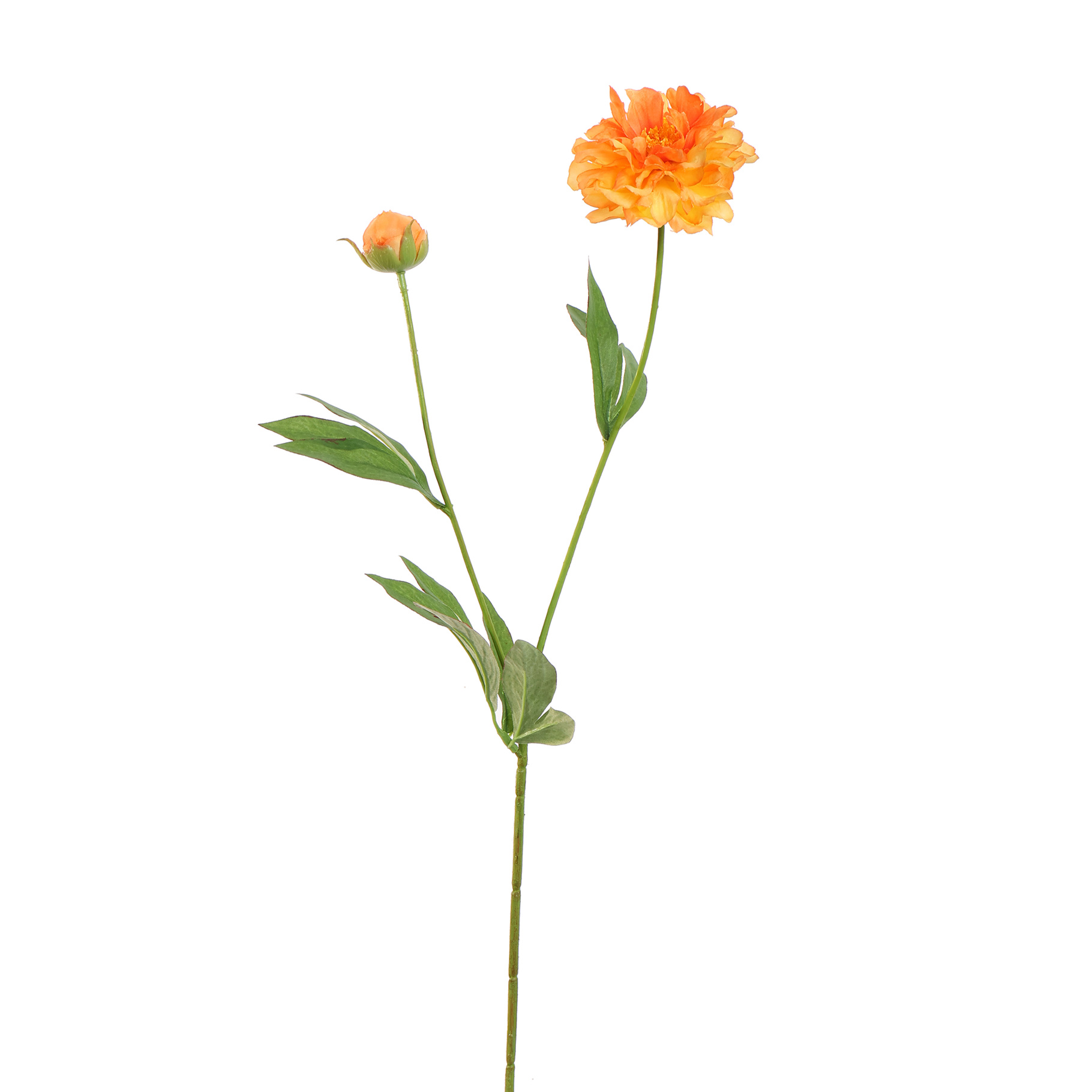 Zijdebloem Peony Oranje