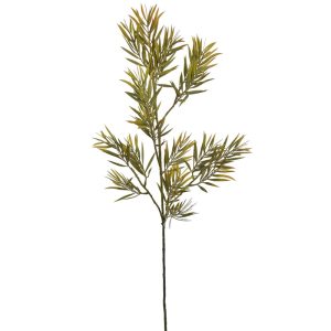 Zijdebloem Rosemarijn