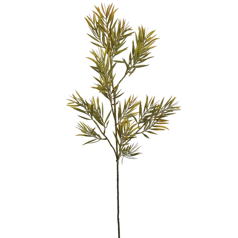 Zijdebloem Rosemarijn