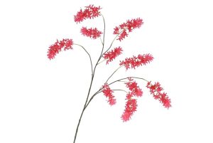 Zijdebloem Silk Wisteria Rood