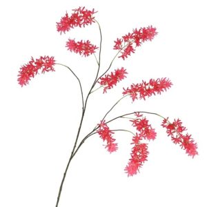 Zijdebloem Silk Wisteria Rood