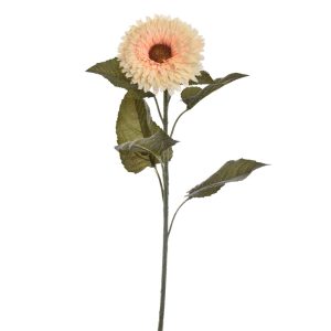 Zijdebloem Sunflower Vanilla