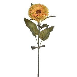 Zijdebloem Sunflower Yellow