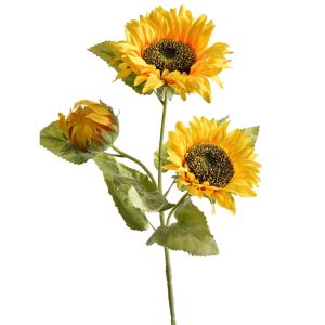 Zijdebloem Sunflower Yellow