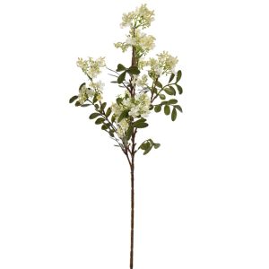 Zijdebloem Wild Lilac